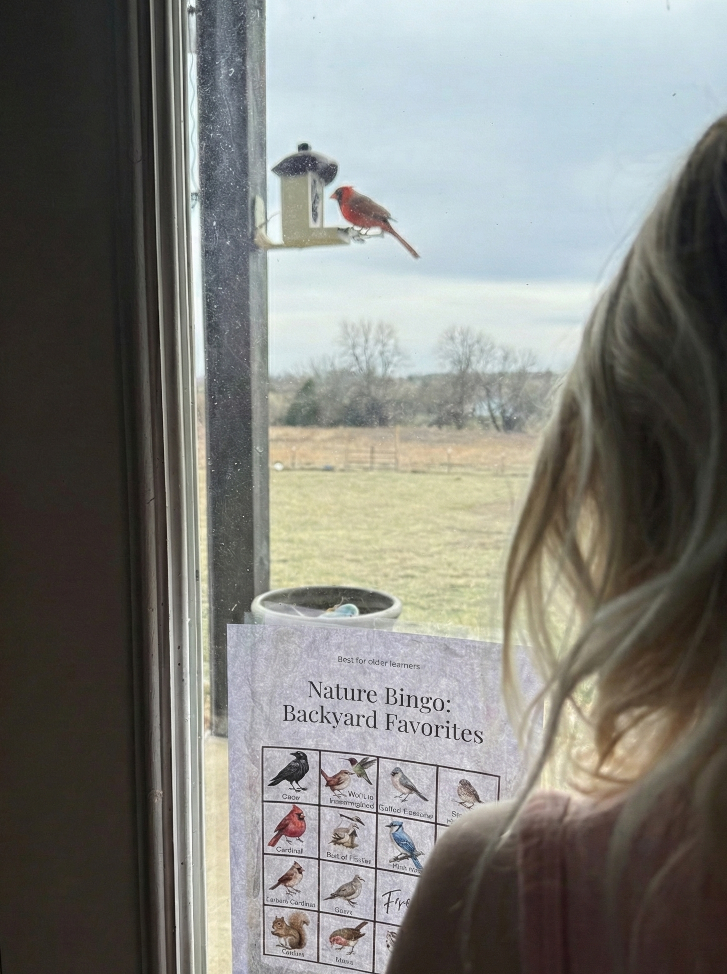 The Quiet Watcher: Windowside Bird Bingo & Observation Set - Image 3