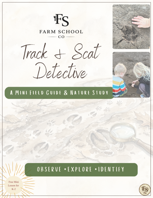 Track & Scat Detective | Free Nature Study Printable for Early Learners