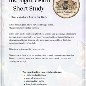 The Night Vision Short Study