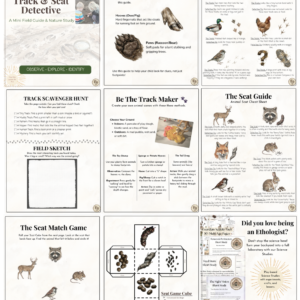 Screenshot 2026-02-20 222632