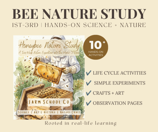 Honeybee Nature Study
