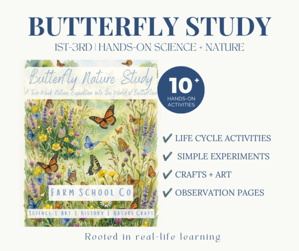 Butterfly Nature Study