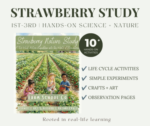 Strawberry Nature Study