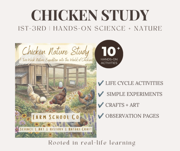 Chicken Nature Study