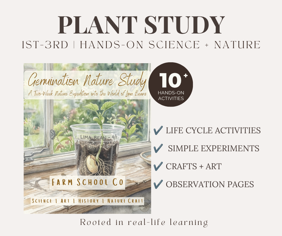 Germination Nature Study