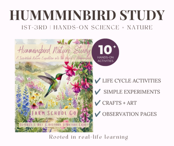Hummingbird Nature Study