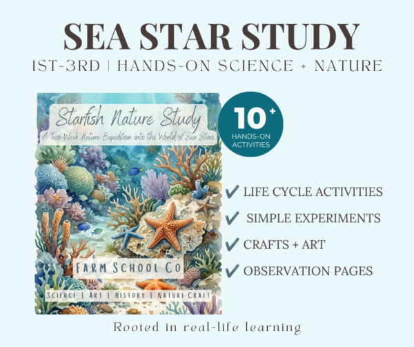 Starfish Nature Study