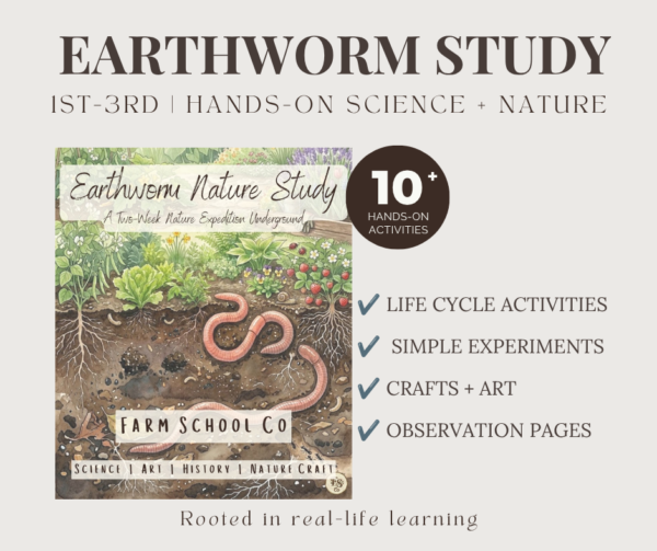 Earthworm Nature Study