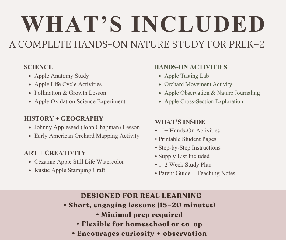 Apple Nature Study | Hands-On Apple Science for Early Learners - Image 6
