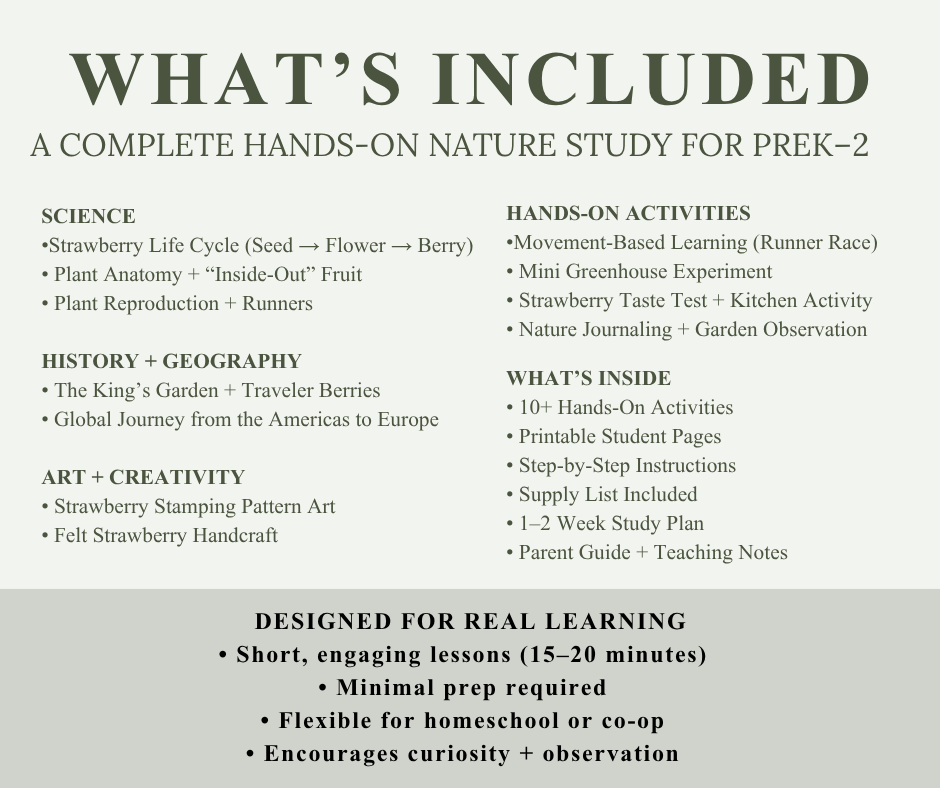 Strawberry Nature Study - Image 8