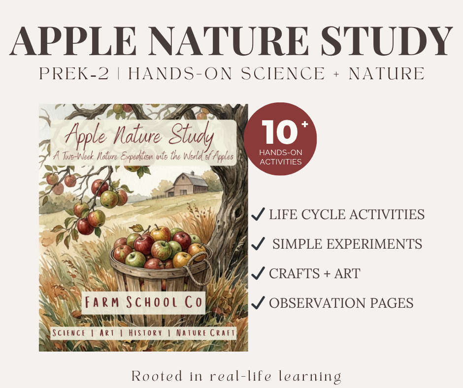 Apple Nature Study | Hands-On Apple Science for Early Learners