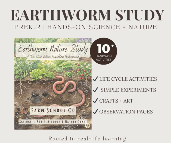 Earthworm Nature Study | Hands-On Soil Science for Early Learners