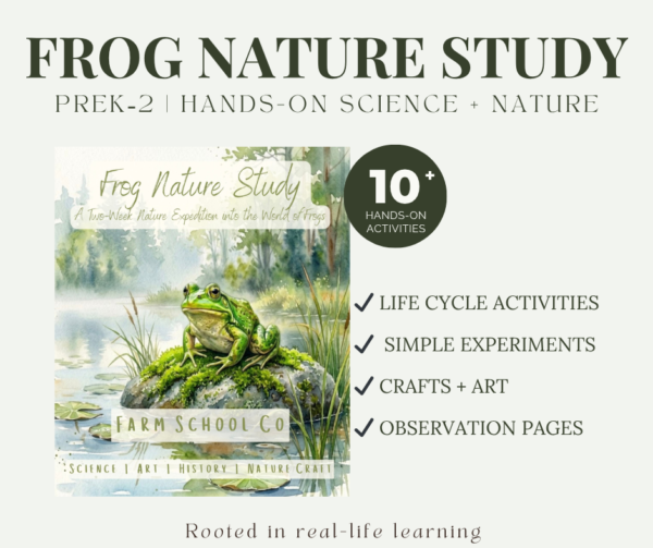 Frog Nature Study | Hands-On Pond Science for Early Learners