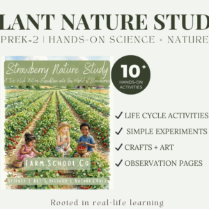 Strawberry Nature Study