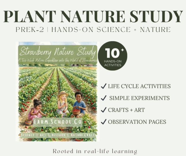 Strawberry Nature Study | Hands-On Plant Science for Early Learners