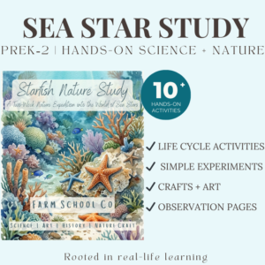 Starfish Nature Study