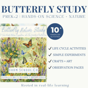 Butterfly Nature Study