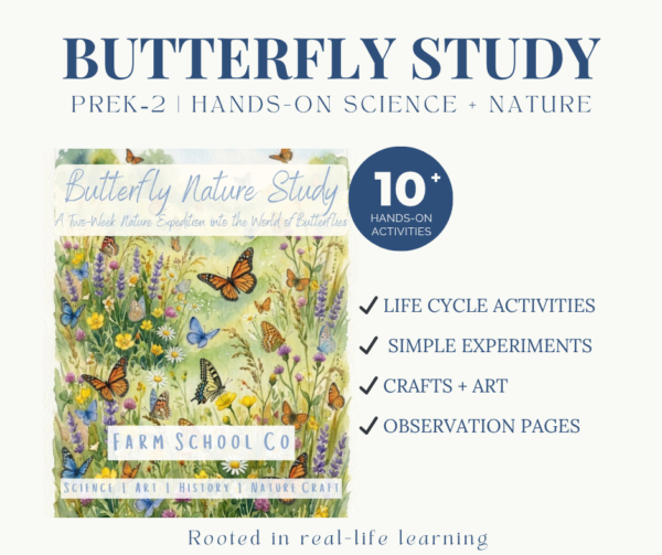 Butterfly Nature Study | Hands-On Life Cycle Science for Early Learners