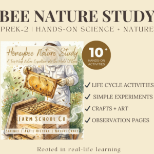 Honeybee Nature Study