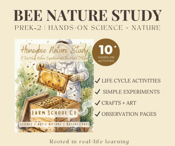 Honeybee Nature Study | Hands-On Pollination Science for Early Learners
