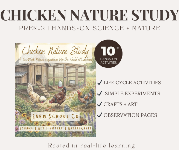 Chicken Nature Study | Hands-On Farm Science for Early Learners