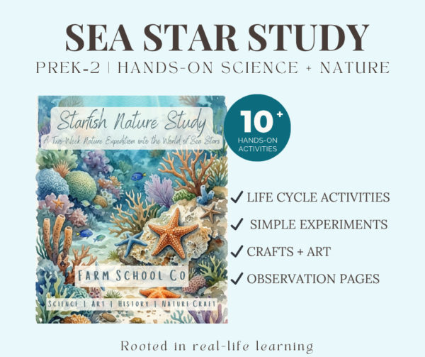 Starfish Nature Study | Hands-On Ocean Science for Early Learners