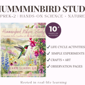 Hummingbird Nature Study
