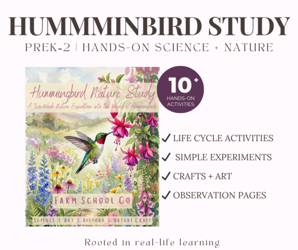 Hummingbird Nature Study | Hands-On Bird Science for Early Learners