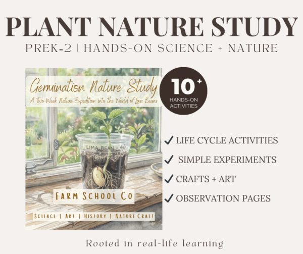 Germination Nature Study | Hands-On Seed Science for Early Learners