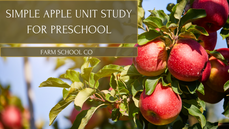 apple study for kids