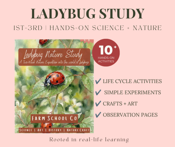 Ladybug Nature Study