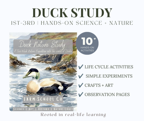 Duck Nature Study