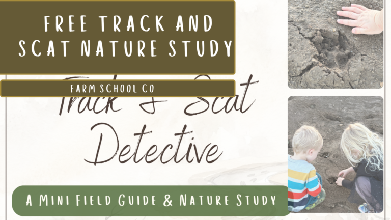 Track and Scat Nature Study for Kids (Easy Backyard Version)