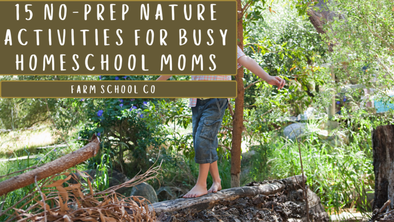 15 No-Prep Nature Activities for Busy Homeschool Moms