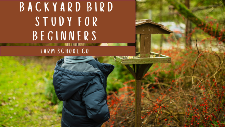Backyard Bird Study for Beginners (Simple Family Plan)