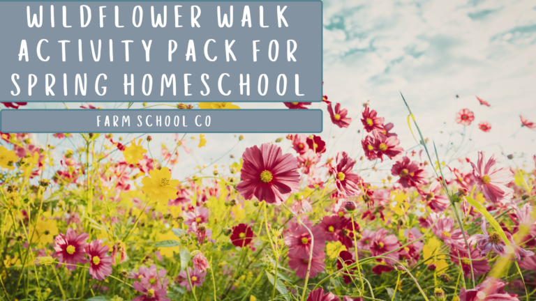 Wildflower Walk Activity Pack for Spring Homeschool Days