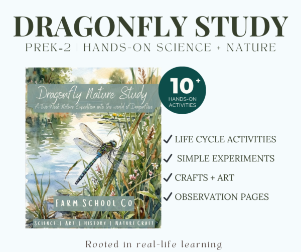Dragonfly Nature Study | A Two-Week Nature Expedition for Ages 4β8