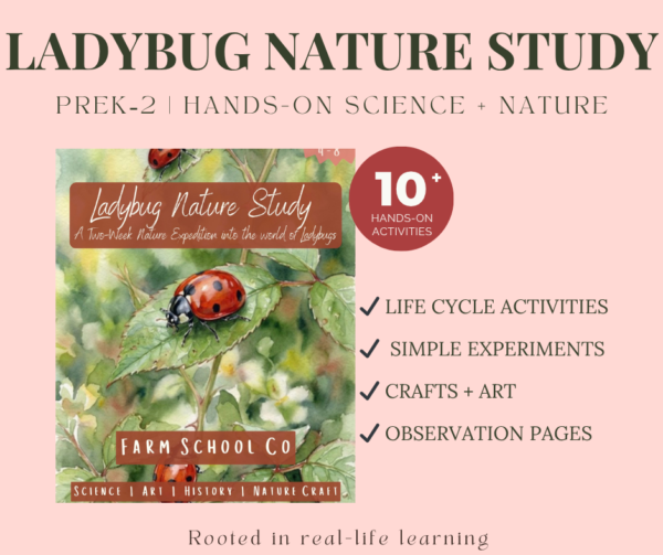 Ladybug Nature Study