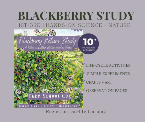 Blackberry Nature Study