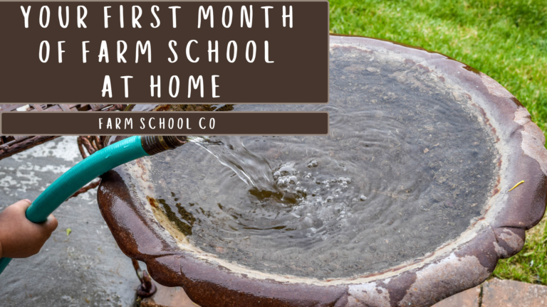 Your First Month of Farm School at Home (Step-by-Step)