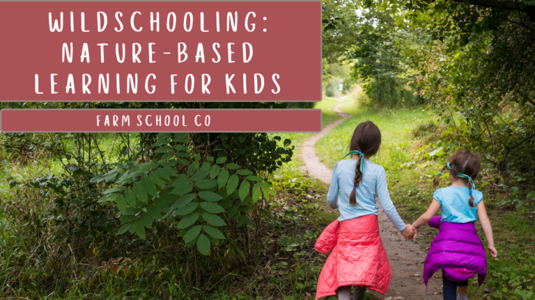 Embrace Wildschooling: Nature-Based Learning for Kids