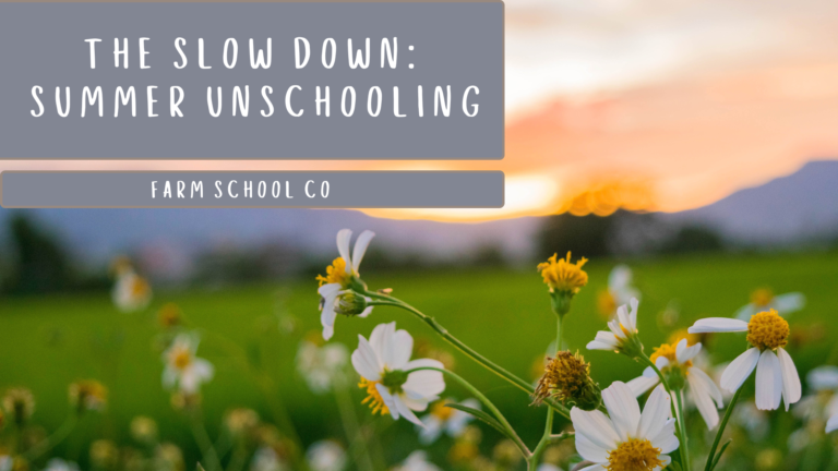 Trusting the Slow Down: The Magic of Summer Child-Led Unschooling