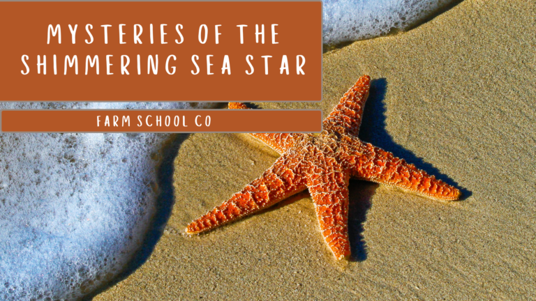 Unlocking the Mysteries of the Shimmering Sea Star