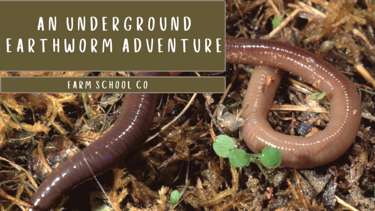 Meet the Midnight Gardeners: An Underground Earthworm Adventure
