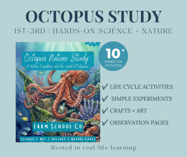 Octopus Nature Study