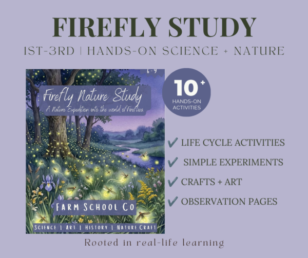 Firefly Nature Study