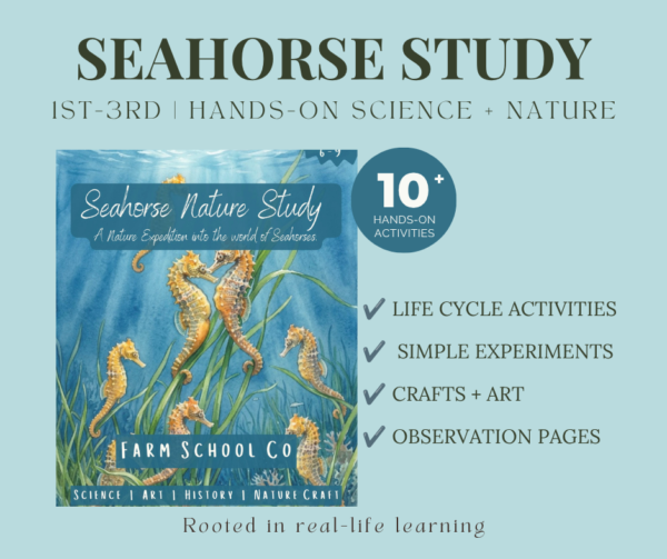 Seahorse Nature Study