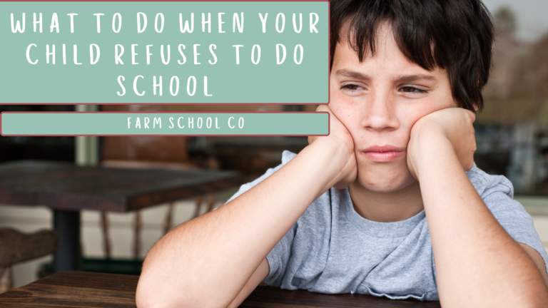 What to Do When Your Child Refuses to Do School